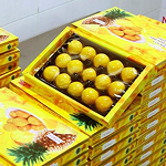 Premium Pineapple Tarts